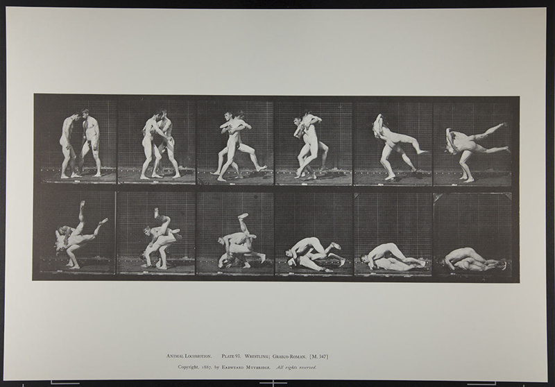 Foto
Edward Muybridge /English, 1830-1904/
Wrestling, Greco-Roman
Callotype